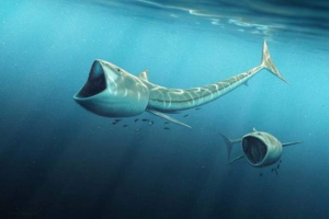 В японії знайшли стародавню велику рибний важіль В японії знайшли стародавню велику рибний важіль